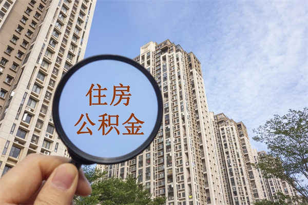 查询我的住房公积金-京山公积金代办平台